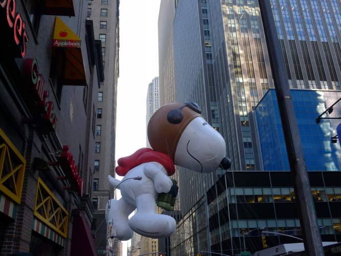 USA_2011-11-24 10-25-06
